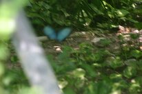 IMG_9368
