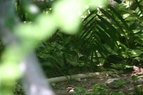 IMG_9369