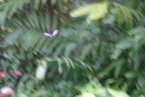 IMG_9370