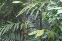 IMG_9371