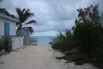 IMG_9207