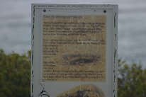 IMG_9217
