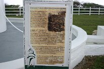 IMG_9219