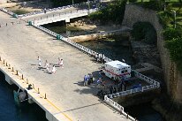 IMG_9231