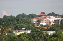 IMG_9235