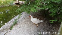 20181204_110152