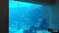 20181205_111516
