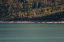 IMG_0431