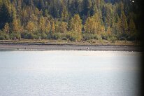 IMG_0432