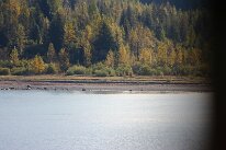 IMG_0433