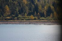 IMG_0434