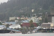 IMG_0254
