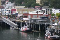 IMG_0255