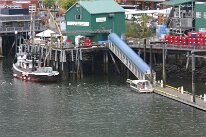 IMG_0256