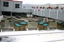 IMG_0268