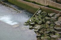 IMG_0269