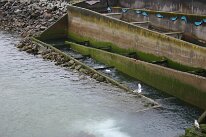 IMG_0270