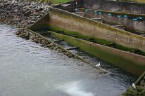 IMG_0271