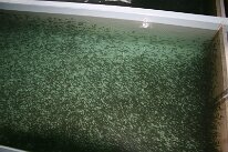IMG_0273
