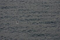 IMG_0201