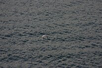 IMG_0202