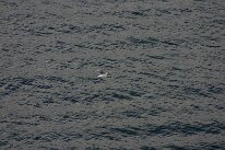 IMG_0203