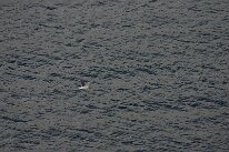 IMG_0204