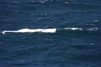 IMG_0210