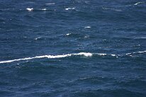 IMG_0211