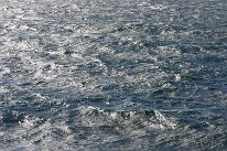 IMG_0212