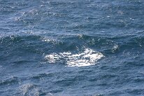 IMG_0213