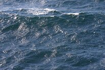 IMG_0214