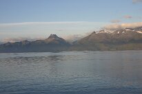 IMG_0217