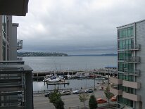 IMG_2351