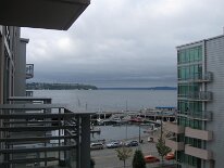 IMG_2353