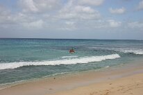 IMG_2274