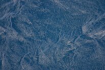 IMG_2351