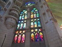 IMG_0081