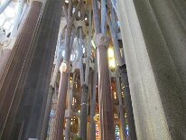 IMG_0083