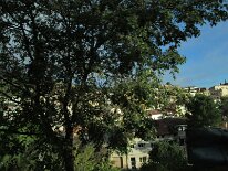 IMG_0004