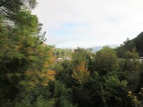 IMG_0006