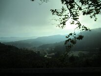 IMG_0007