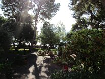IMG_0227