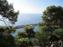 IMG_0228