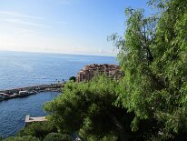IMG_0230