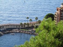 IMG_0231