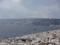 DSCF4566