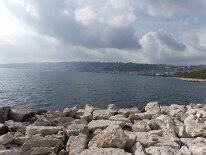 DSCF4577