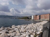 DSCF4578