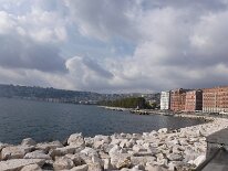 DSCF4580